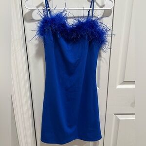 Blue dress with feathers